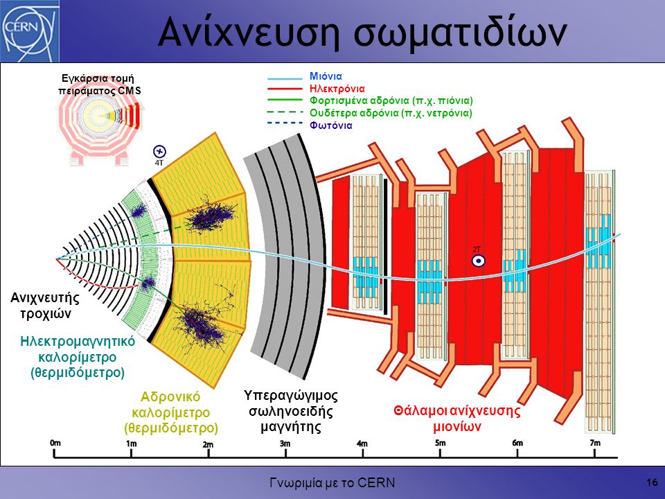Γνωριμία με το CERN 16 Ανίχνευση σωματιδίων Μιόνια Ηλεκτρόνια Φορτισμένα αδρόνια (π.χ.