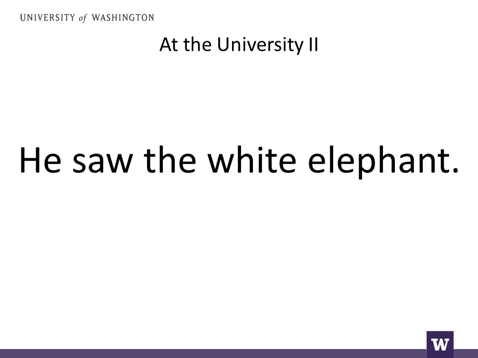 At the University II He saw the white elephant.