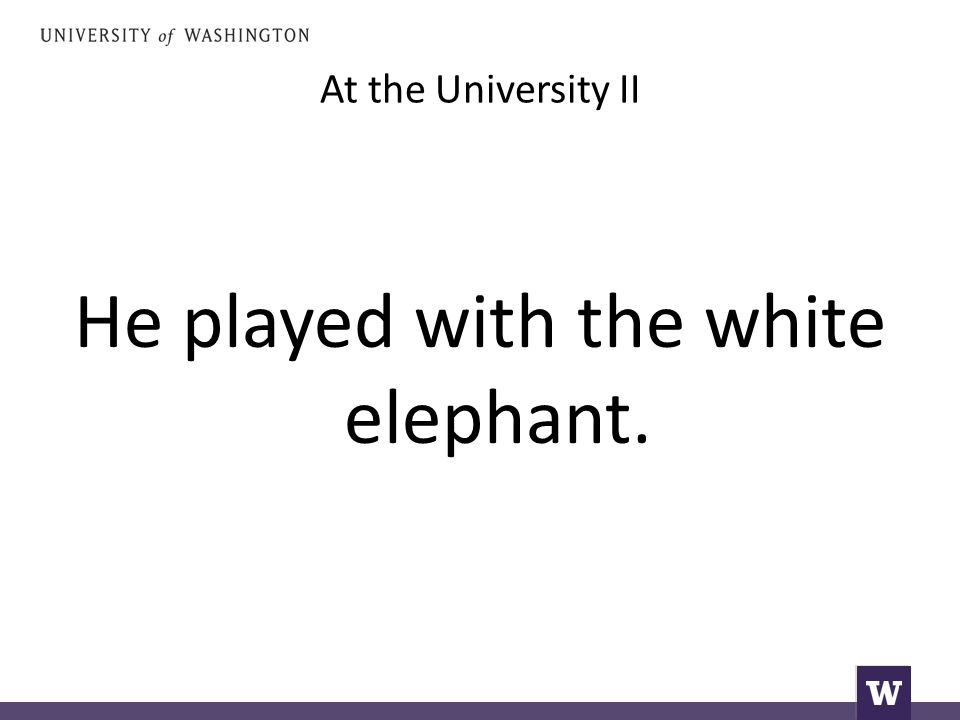 At the University II He played with the white elephant.