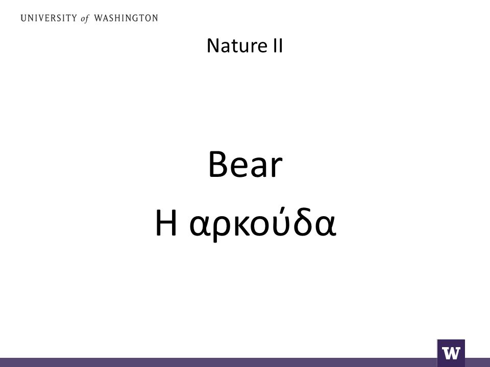 Nature II Bear Η αρκούδα