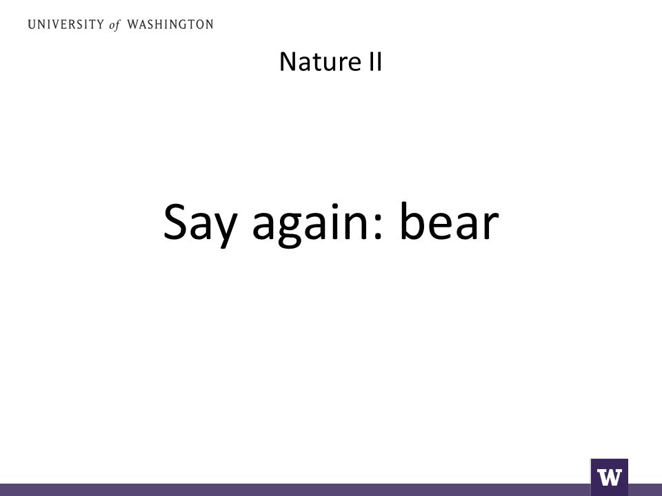 Nature II Say again: bear